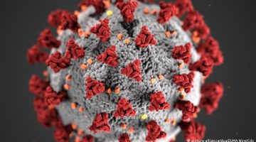 Virüsten 228 Can Kaybı