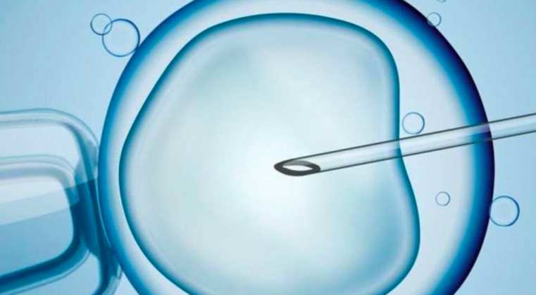 Sperm Donasyonu Nedir ?