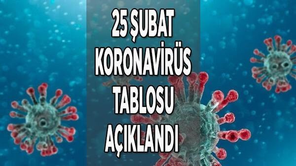 25 Şubat bugünkü koronavirüs tablosu açıklandı