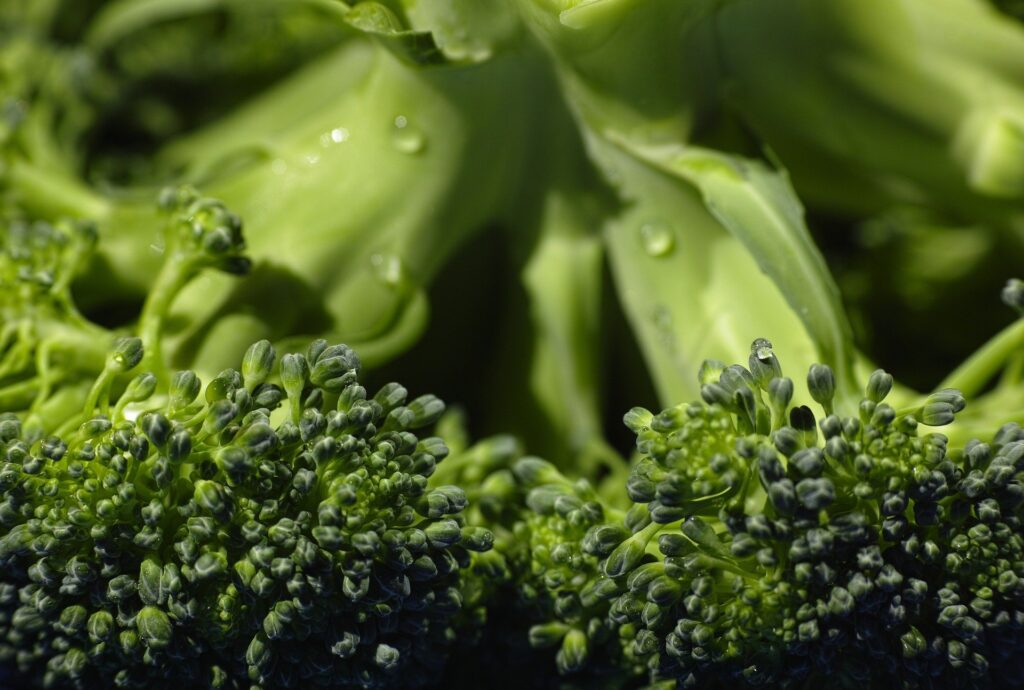 Brokolinin Faydaları saymakle bitmiyor