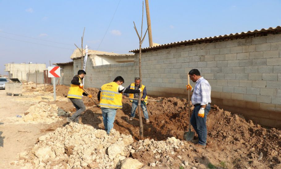 Büyükşehir’den Farklı Bölgelerde Ağaçlandırma Çalışması