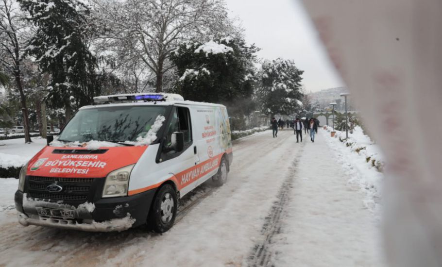 Büyükşehir Sokak Hayvanlarını Unutmadı, Başkan Beyazgül, ‘’Can Dostlarımızı Unutmayalım’’