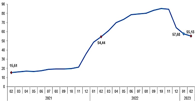 Şubat’ta enflasyon yüzde 55