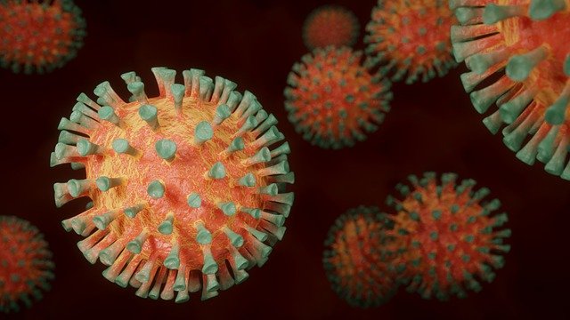Koronavirüs Alt Varyantı Çıktı, Ne Yapmalı ?