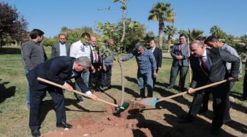 Başkan Beyazgül: ‘’İsrail’i Besleyen Damarları Kesmeliyiz’’