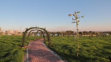 Başkan Beyazgül: ‘’Gap Sukay Tıbbi Aromatik Parkı Şanlıurfa’ya Hayırlı Olsun’’