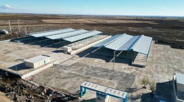 Büyükşehirden Viranşehir’e Modern Canlı Hayvan Pazarı