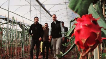 Şanlıurfa’da İlk Kez Eyyübiye’de Yetiştirildi