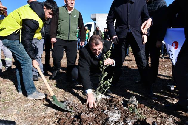 Siverek Belediyesi katma değeri olan fidanları toprakla buluşturuyor