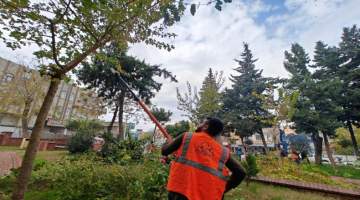 Eyyübiye İlçesinin Parklarında Bakım Zamanı