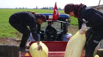 Büyükşehir’in Ektiği Buğdaya Gübre Atıldı