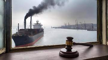 ‘Çevre katliamı’na ağır ceza