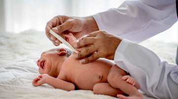 875 Çift SMA Taşıyıcısı Çıktı