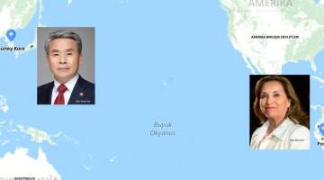 Puru ve Güney Kore: İki ülke iki siyasi olay