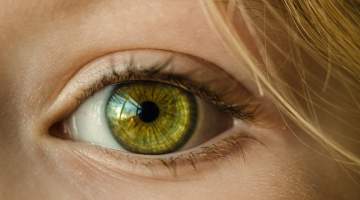 Glokom Hastalığı ve Tedavisi