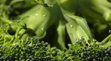 Brokoli Nasıl Pişirilir?