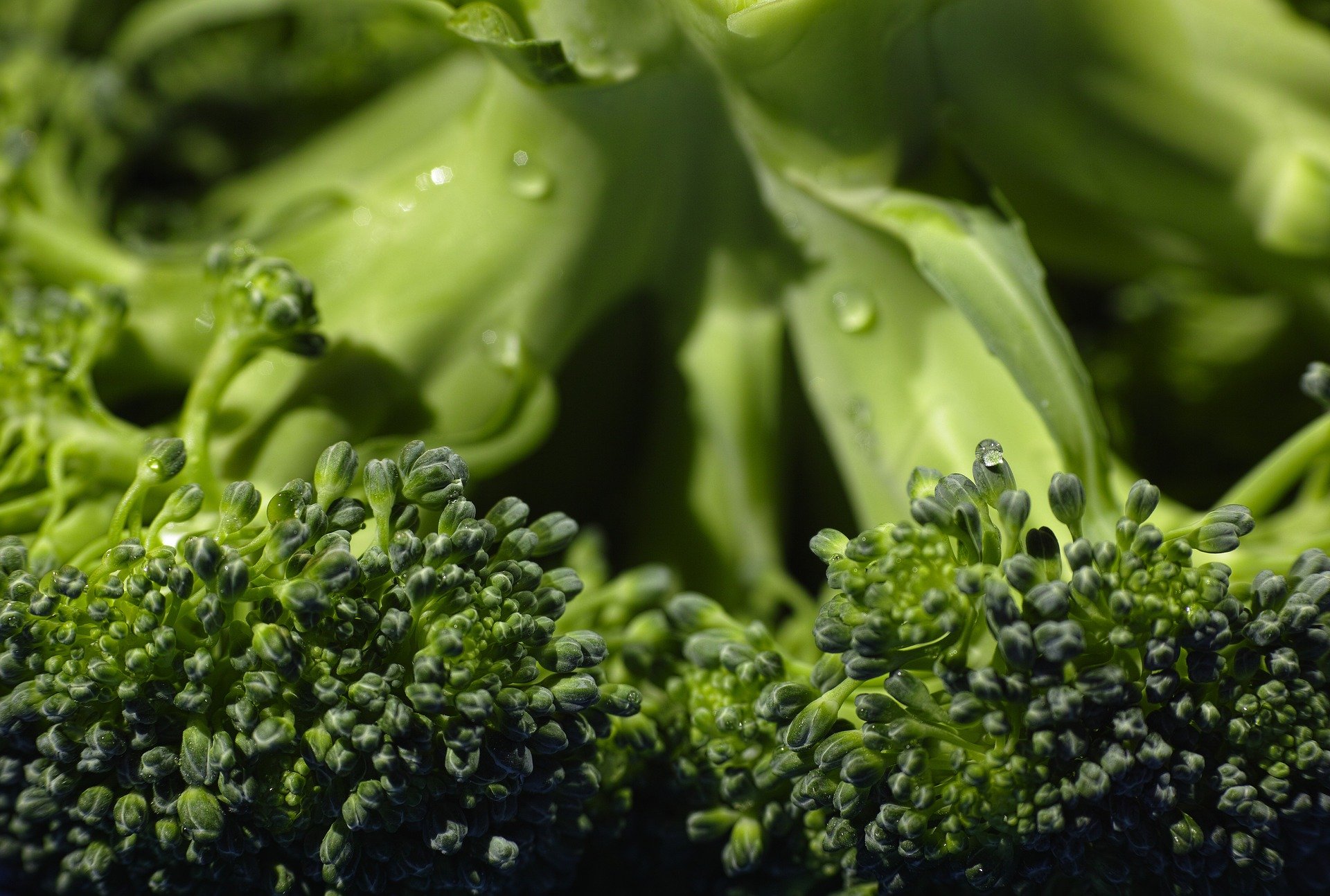 Brokoli Nasıl Pişirilir?