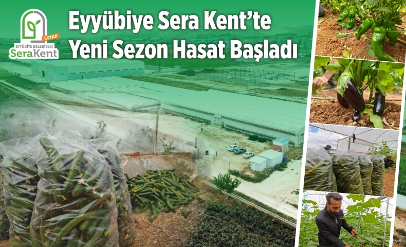 Eyyübiye Sera Kent’te Yeni Sezon Hasat Başladı