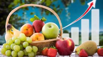 Tahıl üretiminde azalma, meyve ve sebzede artış bekleniyor