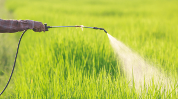 Türkiye Pestisit Kaynaklı Bildirimlerde İlk Sırada