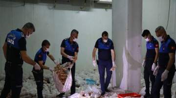 Haliliye zabıtası depoya baskında 10 ton kokmuş tavuk gele geçirdi