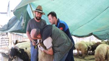 Haliliye’de Bayram öncesi kapsamlı denetimler sürüyor
