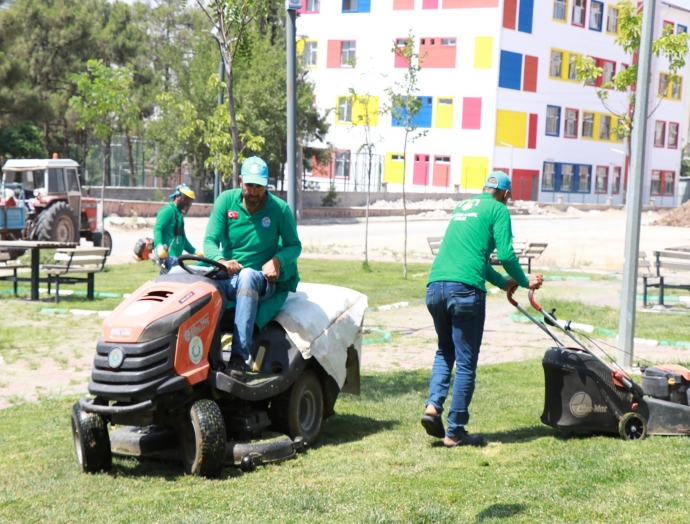 6 parkta hummalı peyzaj çalışması