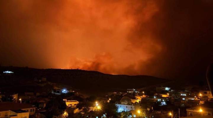Diyarbakır Çınar Yangını Neden Çıktı?