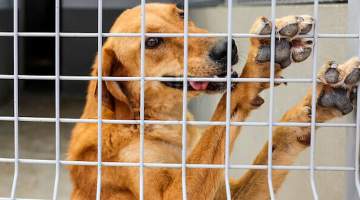 Tartışmalı teklif TBMM’de