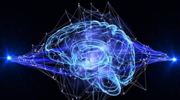 Bağırsak ve Beyin Sağlığı İlişkisi