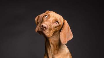 “Türk Toraks Derneği Olarak Yaşamı ve Yaşatmayı Savunuyoruz”