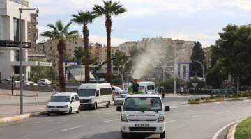 Beyaz Sinekle Mücadele Ediyor