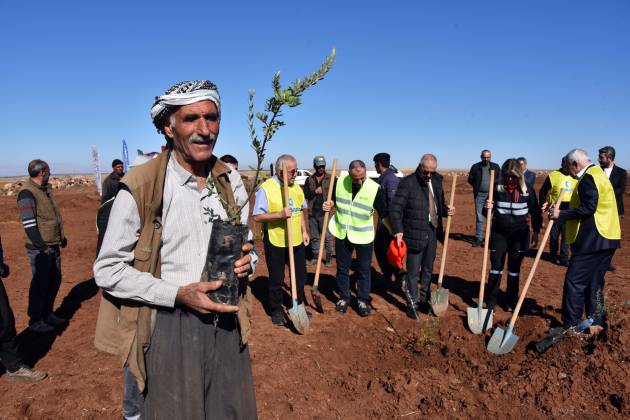 Siverek’te Çiftçilere 12 Bin Fıstık ve Zeytin Fidanı Dağıtıldı