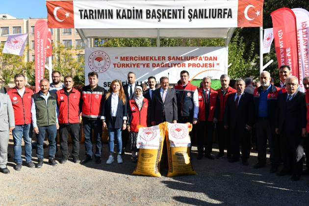 Şanlıurfa’da Mercimek tohumu dağıtıldı