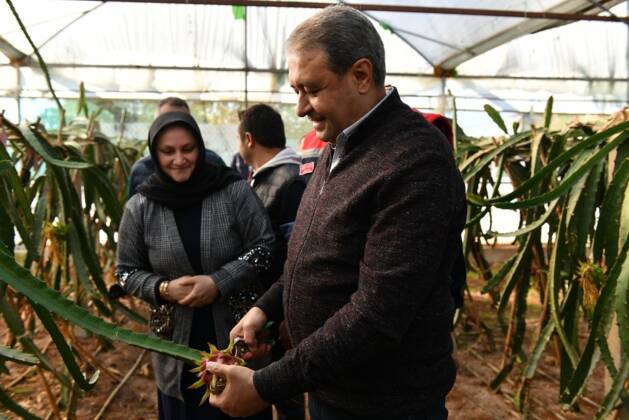 Ejder meyvesi yetiştiren kadına Vali Hasan Şıldak’tan tebrik ziyareti