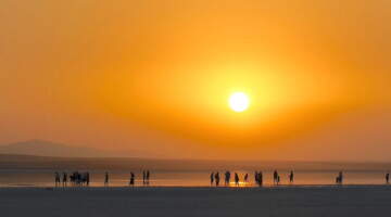 Kritik eşiğin aşıldığı yıl