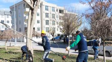 Haliliye’de 203 park ve sokaklarda hummalı peyzaj çalışması