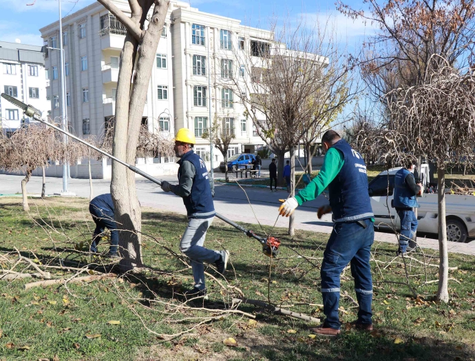 Haliliye’de 203 park ve sokaklarda hummalı peyzaj çalışması