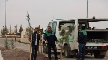 Büyükşehir Belediyesi’nden Mezarlıkta Ağaçlandırma Çalışması