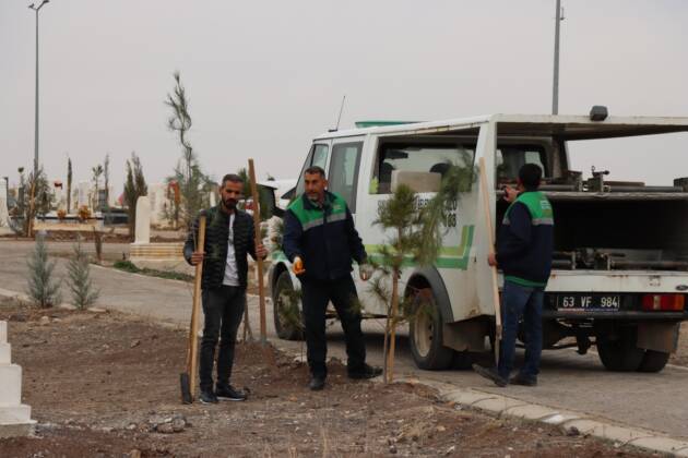 Büyükşehir Belediyesi’nden Mezarlıkta Ağaçlandırma Çalışması