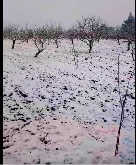 Şanlıurfa Merkezde Yağmur, Kırsalda Kar Yağıyor