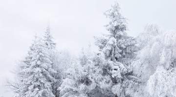 Soğuk ve Karlı Havalar Bağışıklığı Zorluyor!