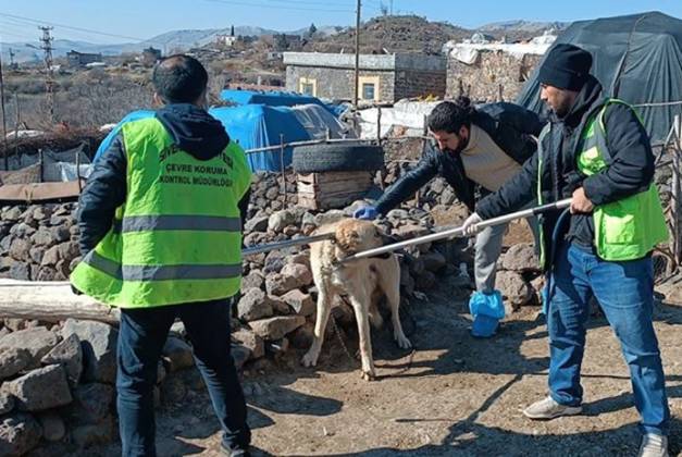 Şanlıurfa’nın Siverek ilçesinde Kuduz Alarmı