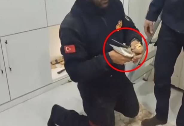 Vestiyere sıkışan papağanı İtfaiye kurtardı