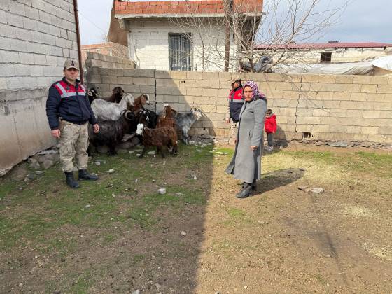 Siverek’te 7 Kişi Çaldıkları Hayvanlarla Yakalandılar