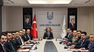 Sahipsiz hayvanların toplanması ve rehabilitasyonu için Valilik harekete geçti