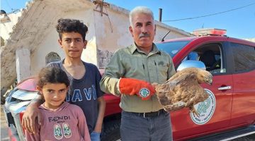 Yaralı halde bulunan Kızılşahin tedavi altına alındı