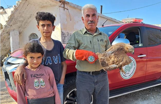 Yaralı halde bulunan Kızılşahin tedavi altına alındı