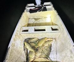 Kaçak balık avlananları Jandarma affetmedi, rekor ceza kesildi