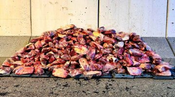 Şanlıurfa’da 1.7 Ton Kaçak ve Sağlıksız Et Ele Geçirildi
